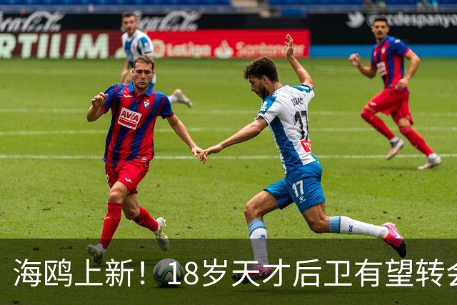 海鸥上新！18岁天才后卫有望转会英格兰，天赋顶级布莱顿要买